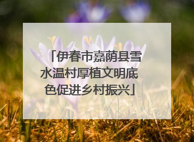 伊春市嘉荫县雪水温村厚植文明底色促进乡村振兴