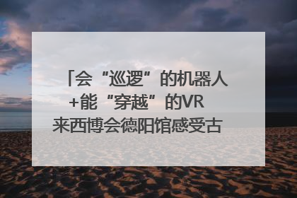 会“巡逻”的机器人+能“穿越”的VR 来西博会德阳馆感受古蜀文明与现代智造的时空对话｜西博视界