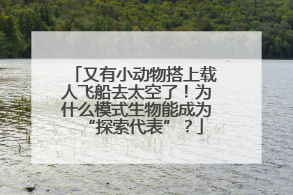 又有小动物搭上载人飞船去太空了！为什么模式生物能成为“探索代表”？