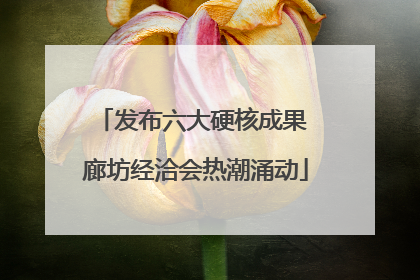 发布六大硬核成果 廊坊经洽会热潮涌动