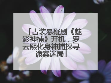 古装悬疑剧《魅影神捕》开机，罗云熙化身神捕探寻诡案迷局