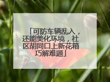 可防车辆乱入，还能美化环境，社区胡同口上新花箱巧解难题