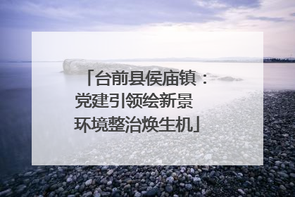 台前县侯庙镇：党建引领绘新景 环境整治焕生机