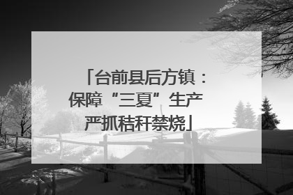 台前县后方镇：保障“三夏”生产 严抓秸秆禁烧