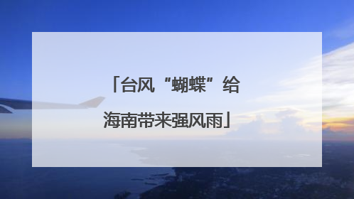 台风“蝴蝶”给海南带来强风雨