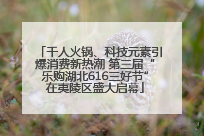 千人火锅、科技元素引爆消费新热潮 第三届“乐购湖北616三好节”在夷陵区盛大启幕
