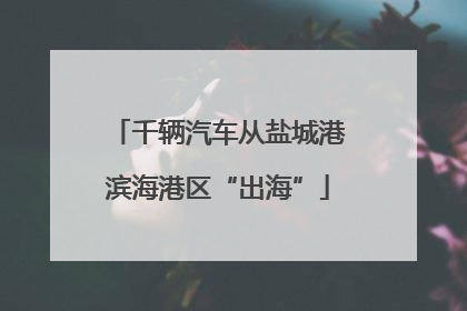 千辆汽车从盐城港滨海港区“出海”