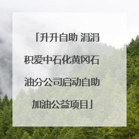 升升自助 涓涓积爱中石化黄冈石油分公司启动自助加油公益项目