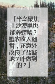 半岛聚焦丨沙漠里也能养螃蟹？蟹农收入翻番，还意外改良了盐碱地？咋做到的？