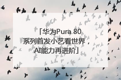 华为Pura 80系列首发小艺看世界，AI能力再进阶