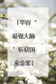 华容“最强大脑”斩获国家金奖
