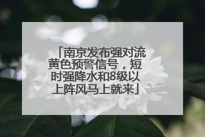 南京发布强对流黄色预警信号，短时强降水和8级以上阵风马上就来