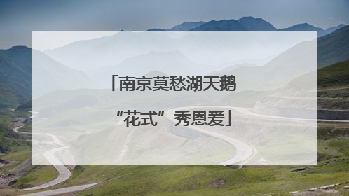 南京莫愁湖天鹅“花式”秀恩爱