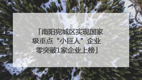 南阳宛城区实现国家级重点“小巨人”企业零突破1家企业上榜