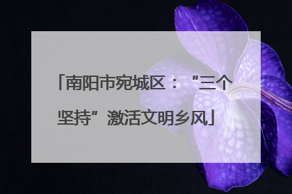 南阳市宛城区：“三个坚持”激活文明乡风