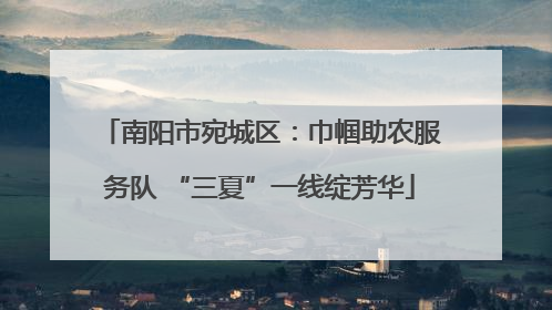 南阳市宛城区：巾帼助农服务队 “三夏”一线绽芳华