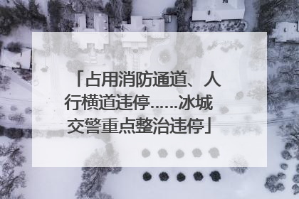 占用消防通道、人行横道违停……冰城交警重点整治违停