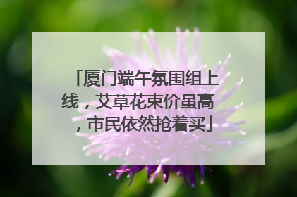 厦门端午氛围组上线，艾草花束价虽高，市民依然抢着买