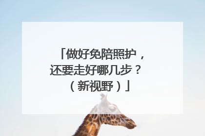 做好免陪照护，还要走好哪几步？（新视野）