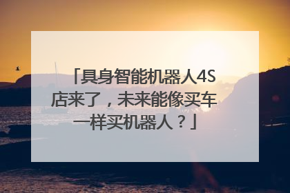 具身智能机器人4S店来了，未来能像买车一样买机器人？
