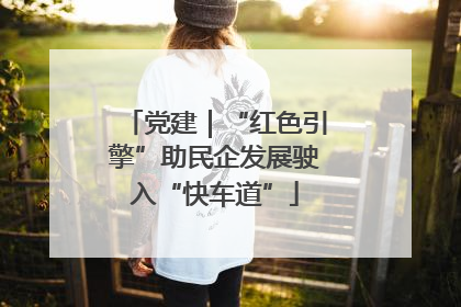 党建｜“红色引擎”助民企发展驶入“快车道”