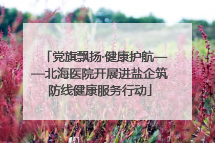 党旗飘扬·健康护航——北海医院开展进盐企筑防线健康服务行动