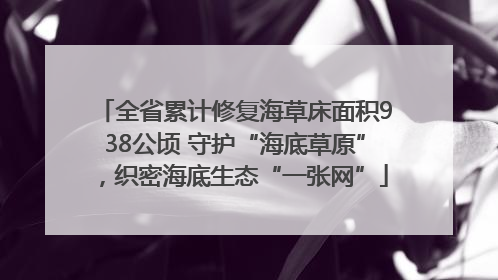 全省累计修复海草床面积938公顷 守护“海底草原”，织密海底生态“一张网”