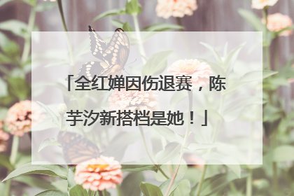 全红婵因伤退赛，陈芋汐新搭档是她！