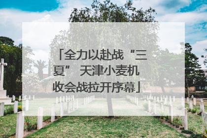 全力以赴战“三夏” 天津小麦机收会战拉开序幕