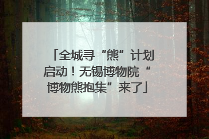 全城寻“熊”计划启动！无锡博物院“博物熊抱集”来了