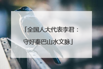 全国人大代表李君：守好秦巴山水文脉