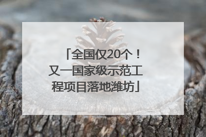 全国仅20个！又一国家级示范工程项目落地潍坊