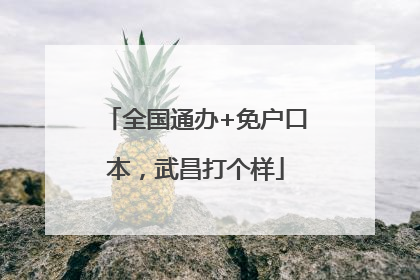 全国通办+免户口本，武昌打个样