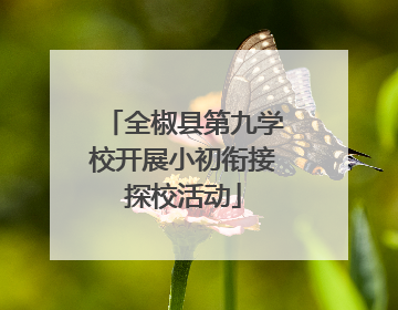 全椒县第九学校开展小初衔接探校活动