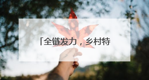 全链发力，乡村特色产业拔节生长