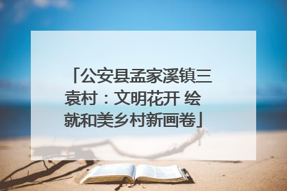 公安县孟家溪镇三袁村：文明花开 绘就和美乡村新画卷