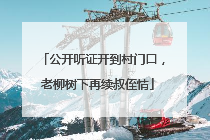 公开听证开到村门口，老柳树下再续叔侄情