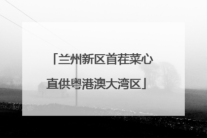 兰州新区首茬菜心直供粤港澳大湾区