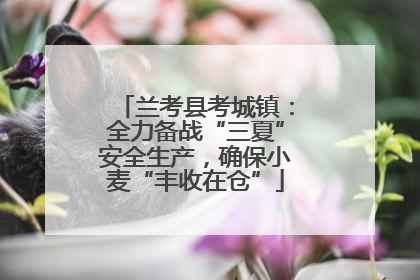 兰考县考城镇：全力备战“三夏”安全生产，确保小麦“丰收在仓”