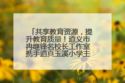 共享教育资源，提升教育质量！遵义市冉继锋名校长工作室携手道真玉溪小学主题研修出新出彩