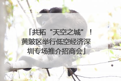 共拓“天空之城”！黄陂区举行低空经济深圳专场推介招商会