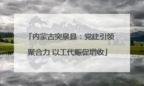 内蒙古突泉县：党建引领聚合力 以工代赈促增收