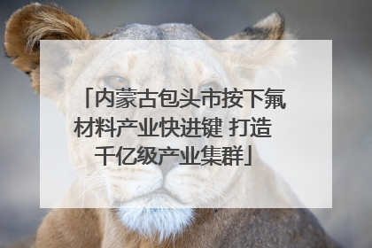 内蒙古包头市按下氟材料产业快进键 打造千亿级产业集群