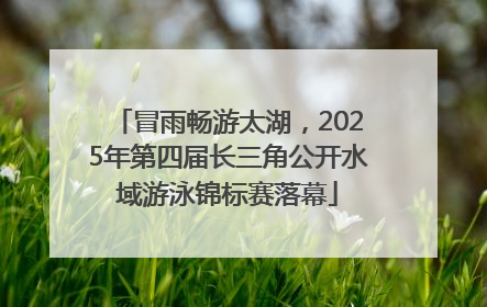 冒雨畅游太湖，2025年第四届长三角公开水域游泳锦标赛落幕