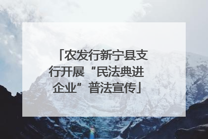 农发行新宁县支行开展“民法典进企业”普法宣传