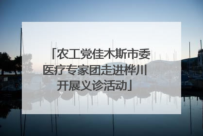 农工党佳木斯市委医疗专家团走进桦川开展义诊活动
