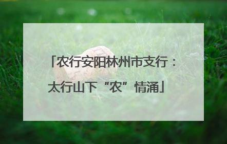 农行安阳林州市支行：太行山下“农”情涌