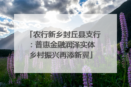 农行新乡封丘县支行：普惠金融润泽实体 乡村振兴再添新翼