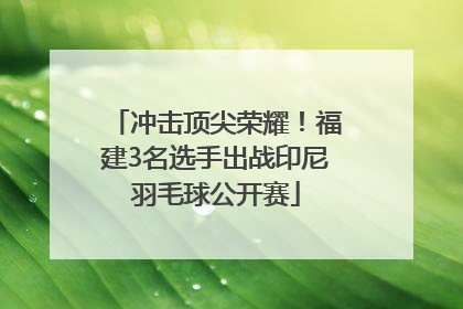 冲击顶尖荣耀！福建3名选手出战印尼羽毛球公开赛