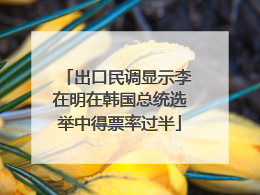 出口民调显示李在明在韩国总统选举中得票率过半